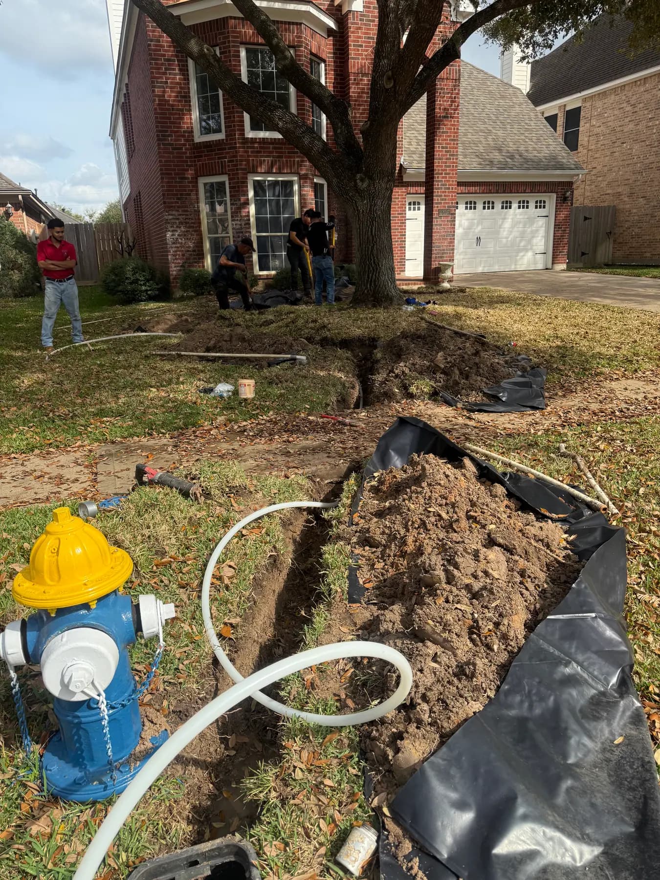 Rose Plumbing Solutions project photo 1